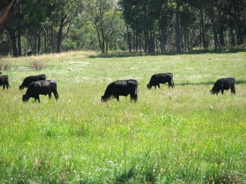 Guyra NSW 2365