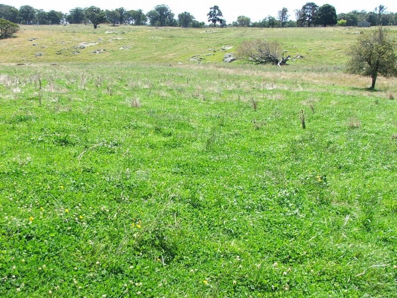 Guyra NSW 2365