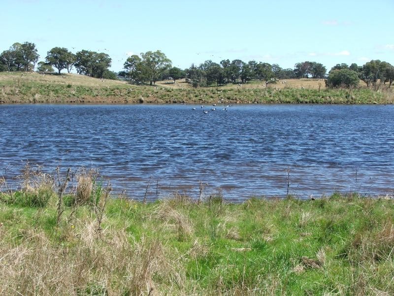 Guyra NSW 2365