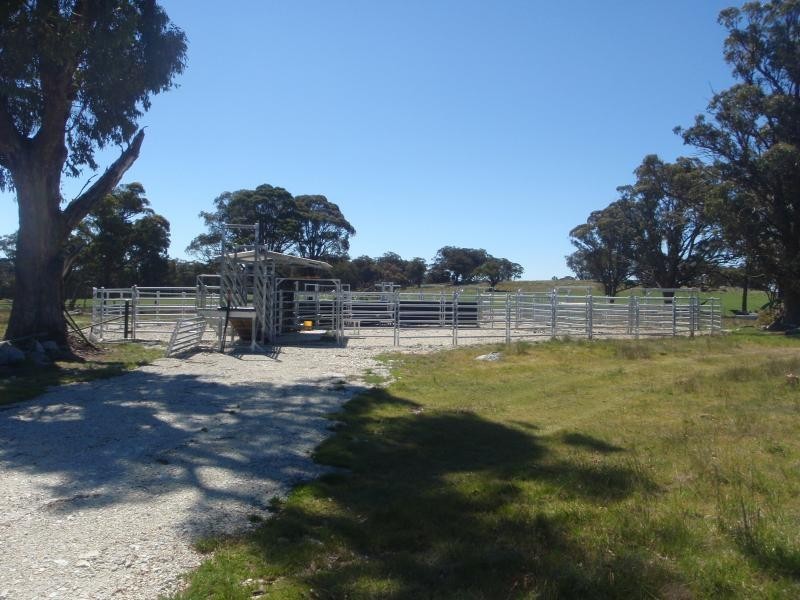 Guyra NSW 2365