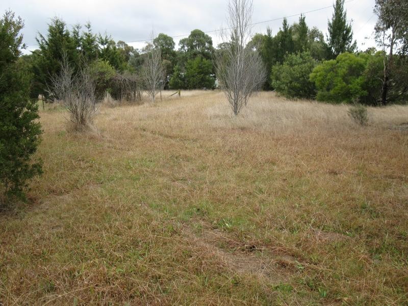 Armidale NSW 2350