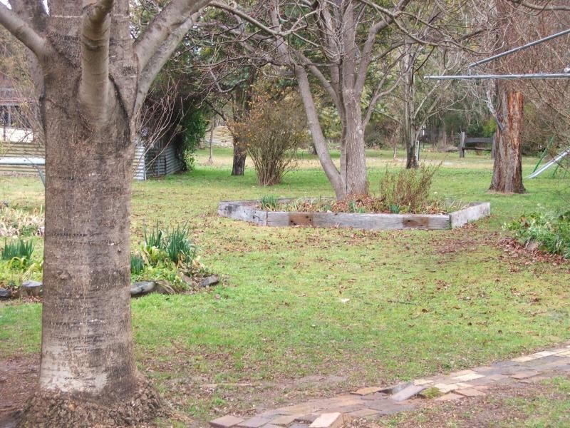48 Donnelly Street, Armidale NSW 2350