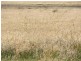Uralla NSW 2358