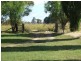 Uralla NSW 2358