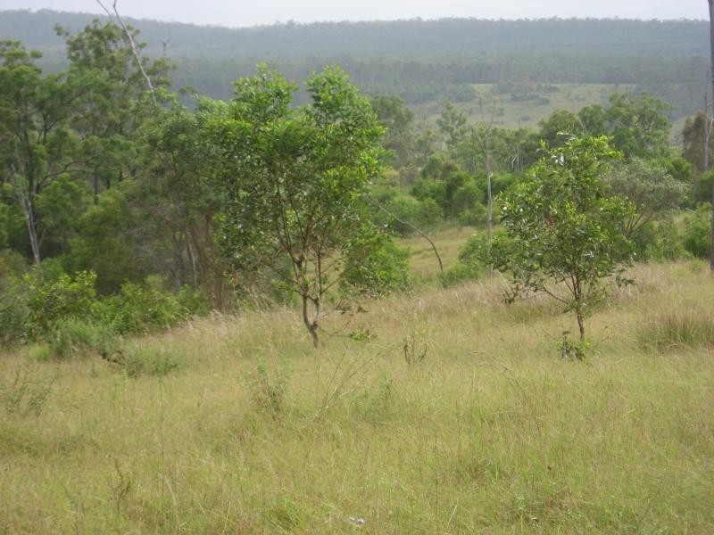 Lot 147 Svsensons Rd, Childers QLD 4660