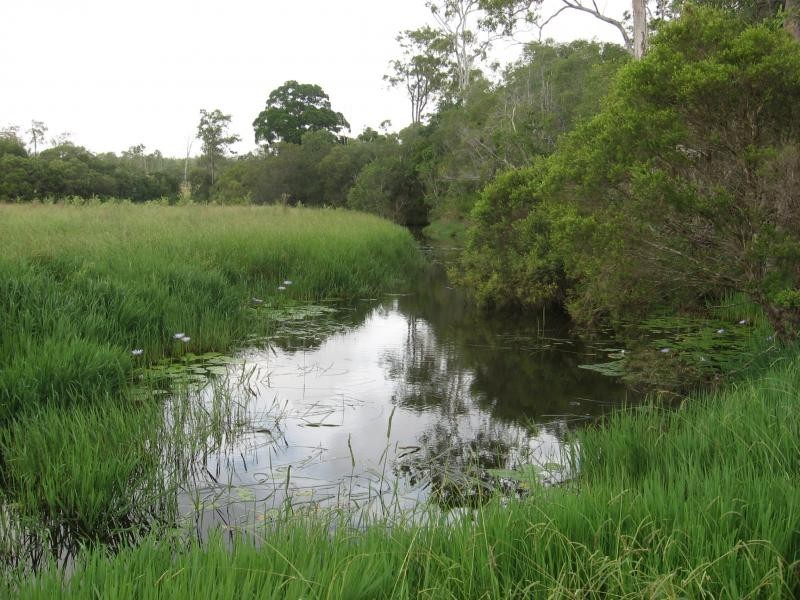 Lot 147 Svensons Rd, Childers QLD 4660