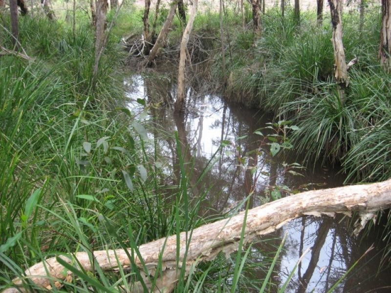 Yalla Lane, Redridge QLD 4660