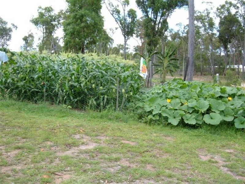 Yalla Lane, Redridge QLD 4660