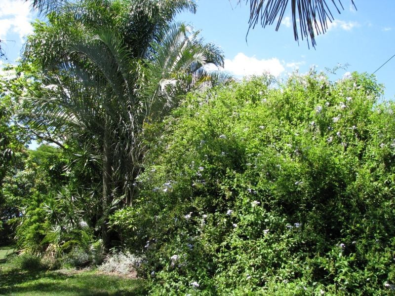17 Yalla Lane, Redridge QLD 4660