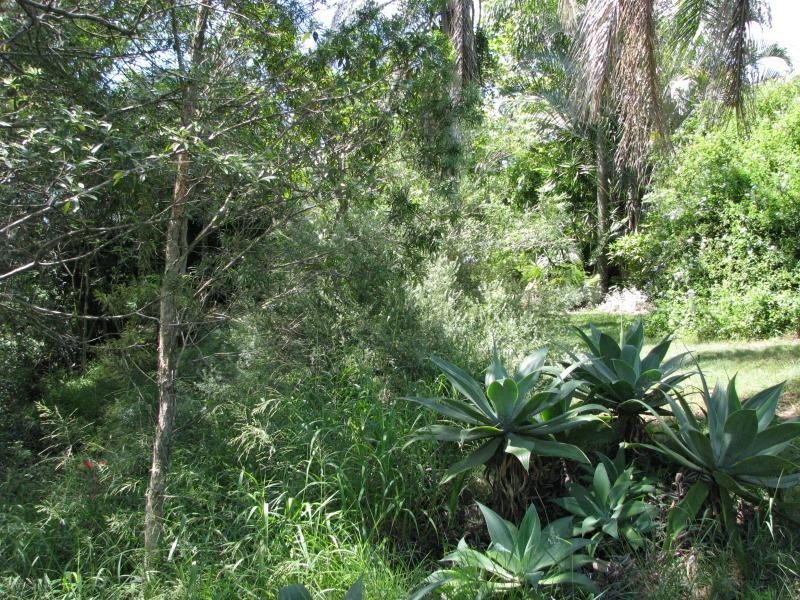 17 Yalla Lane, Redridge QLD 4660