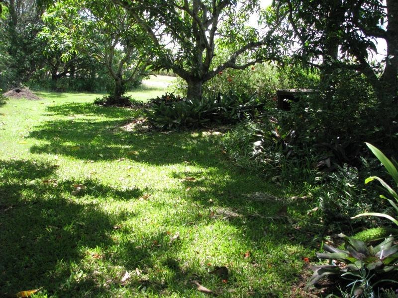 341 Promisedland Road, Cordalba QLD 4660