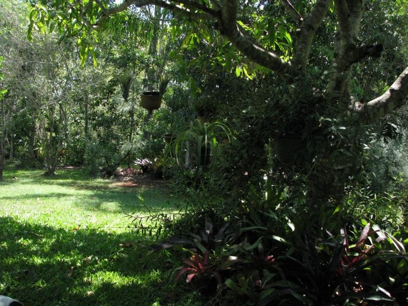 341 Promisedland Road, Cordalba QLD 4660