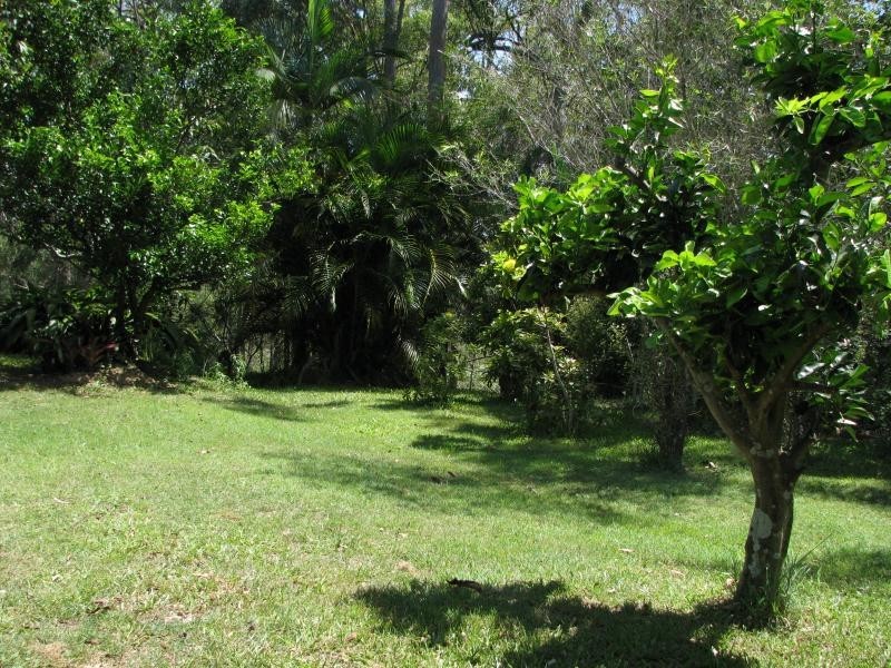 341 Promisedland Road, Cordalba QLD 4660