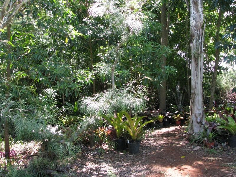 341 Promisedland Road, Cordalba QLD 4660