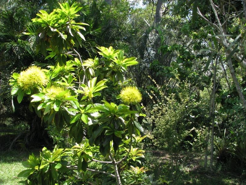 341 Promisedland Road, Cordalba QLD 4660