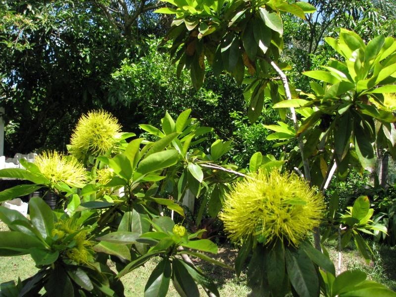 341 Promisedland Road, Cordalba QLD 4660