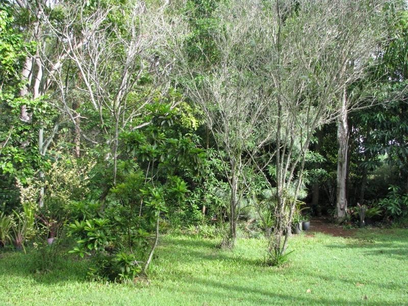 341 Promisedland Road, Cordalba QLD 4660