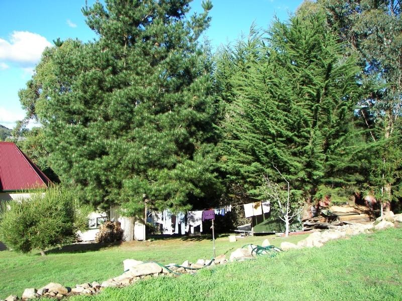 52 main, Derby TAS 7264