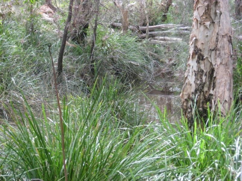 Yalla Lane, Redridge QLD 4660