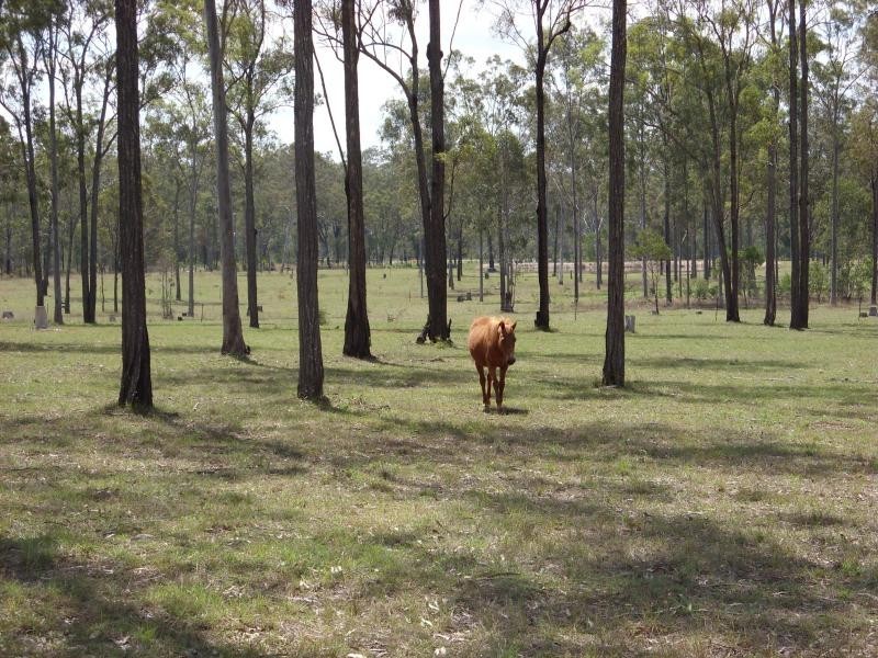 61 Eureka Station Rd, Childers QLD 4660