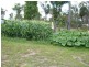 17 Yalla Lane, Redridge QLD 4660