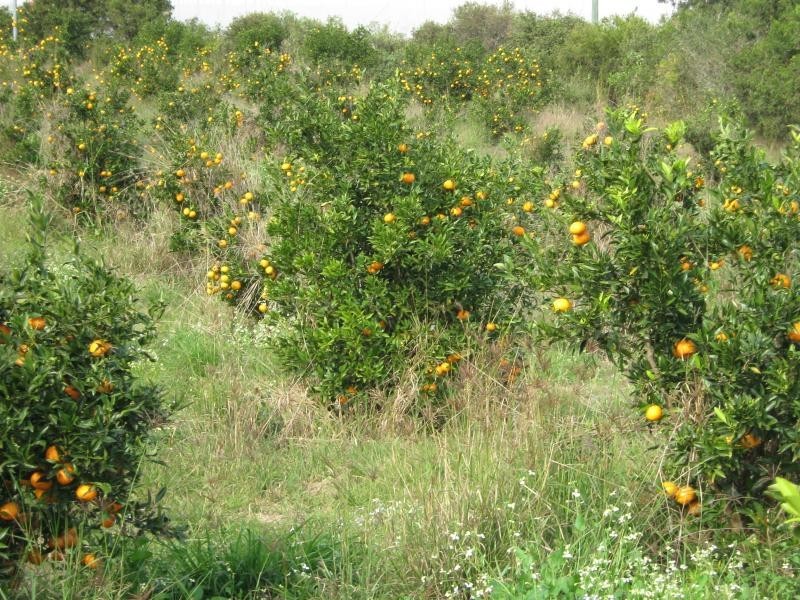 114 butchers rd, Childers QLD 4660