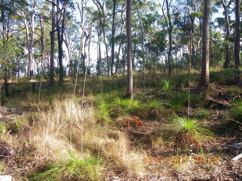 263 webbs rd, Redridge QLD 4660
