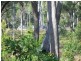 263 webbs rd, Redridge QLD 4660