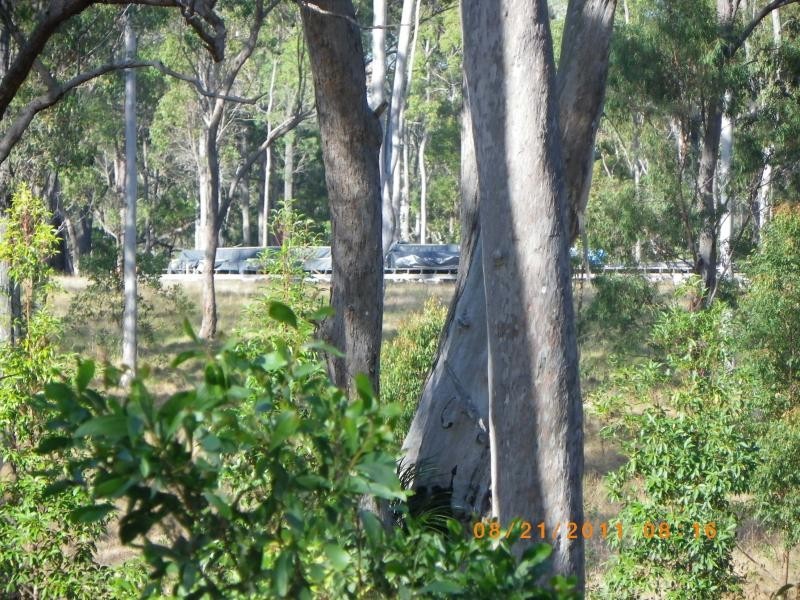 263 webbs rd, Redridge QLD 4660
