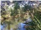 263 webbs rd, Redridge QLD 4660