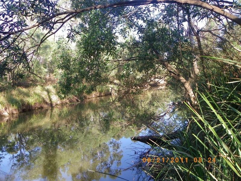 263 webbs rd, Redridge QLD 4660