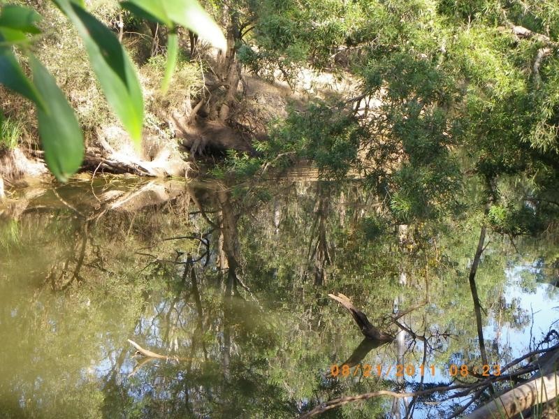 263 webbs rd, Redridge QLD 4660