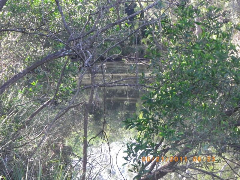 263 webbs rd, Redridge QLD 4660