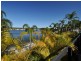 Auk Avenue, Burleigh Waters QLD 4220