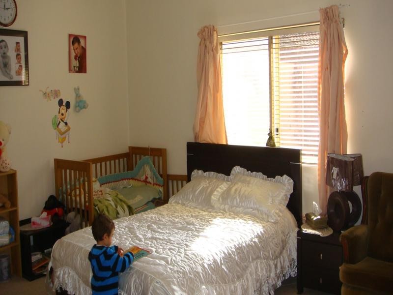 Solo Crescent, Fairfield NSW 2165