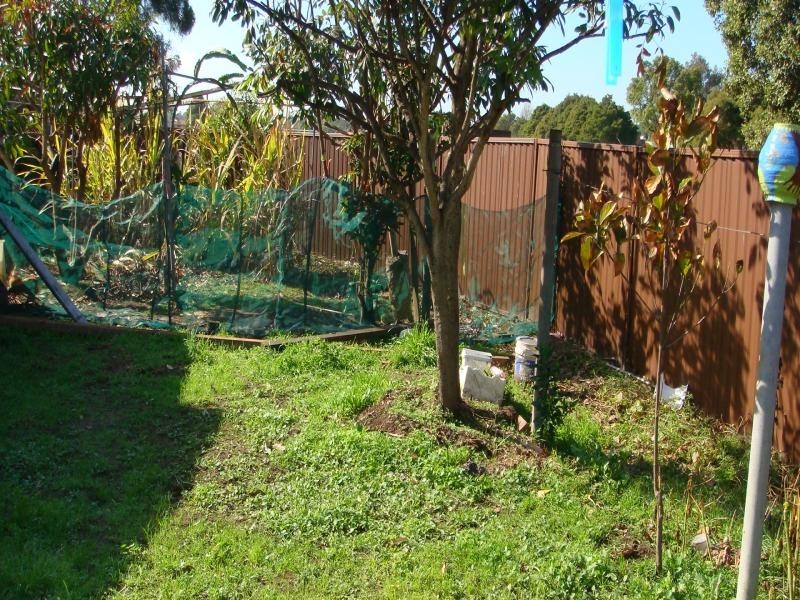 PUNCHBOWL RD, Punchbowl NSW 2196