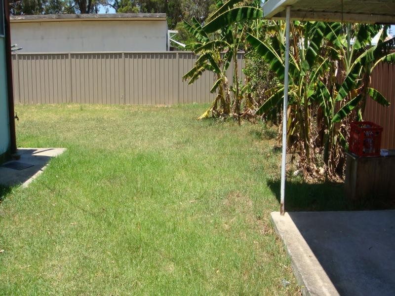 Canley Vale NSW 2166