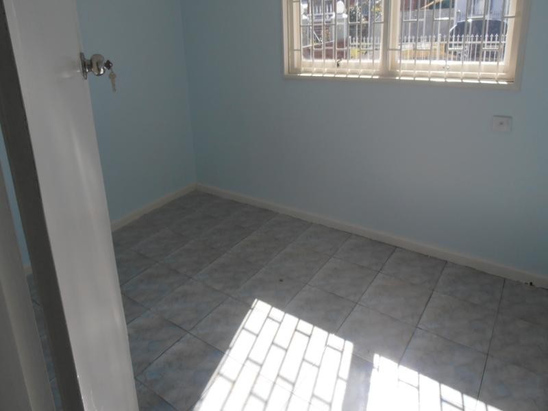 58 Wyong Street, Canley Heights NSW 2166