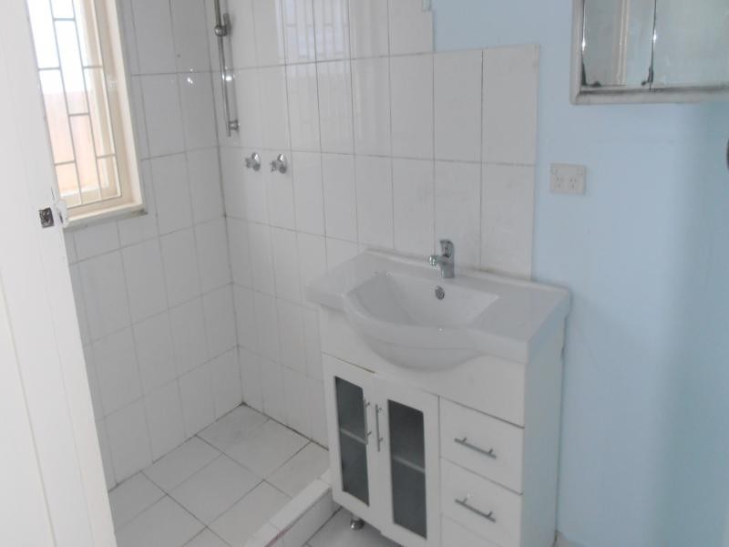 58 Wyong Street, Canley Heights NSW 2166