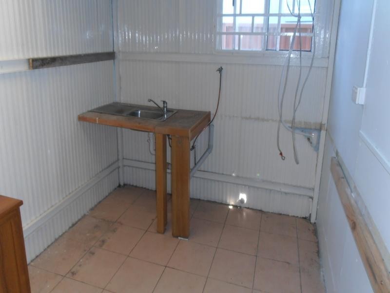 58 Wyong Street, Canley Heights NSW 2166