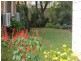 OFFER ABOVE $235K, Canley Vale NSW 2166
