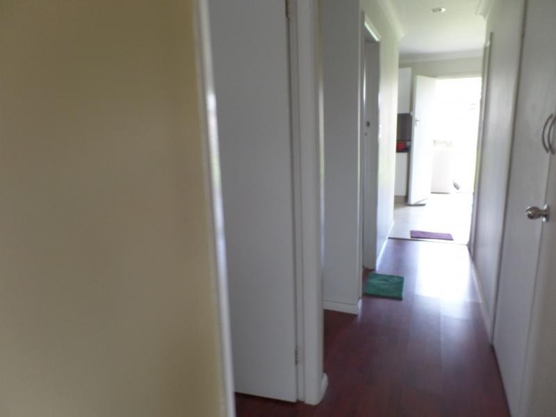 AVENEL ST, Canley Vale NSW 2166