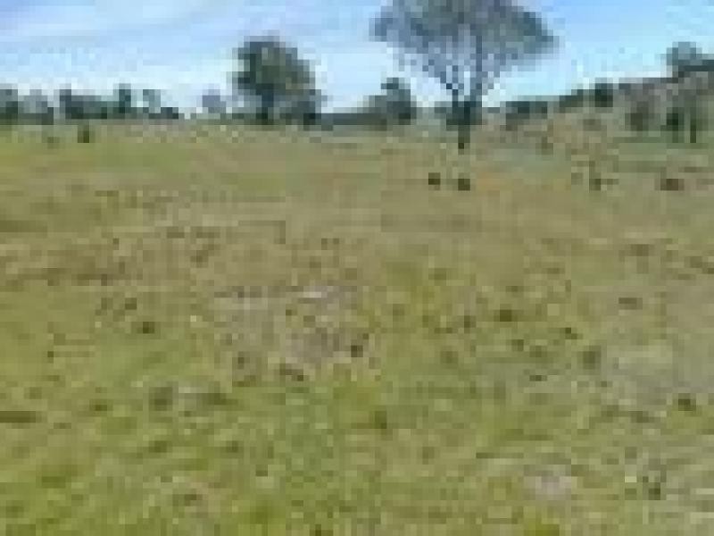 PERKS ROAD, Rye Park NSW 2586