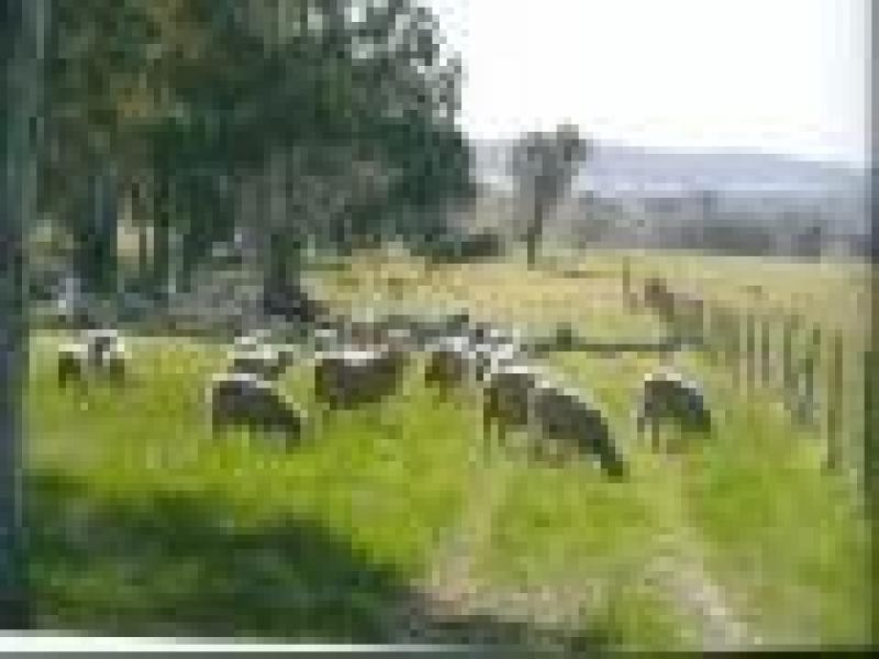 PERKS ROAD, Rye Park NSW 2586