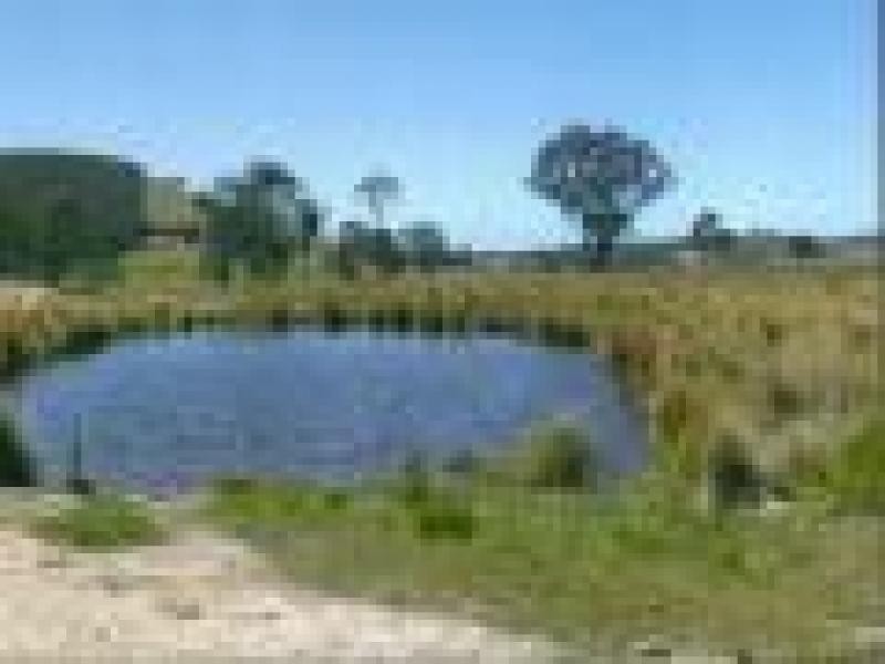 PERKS ROAD, Rye Park NSW 2586