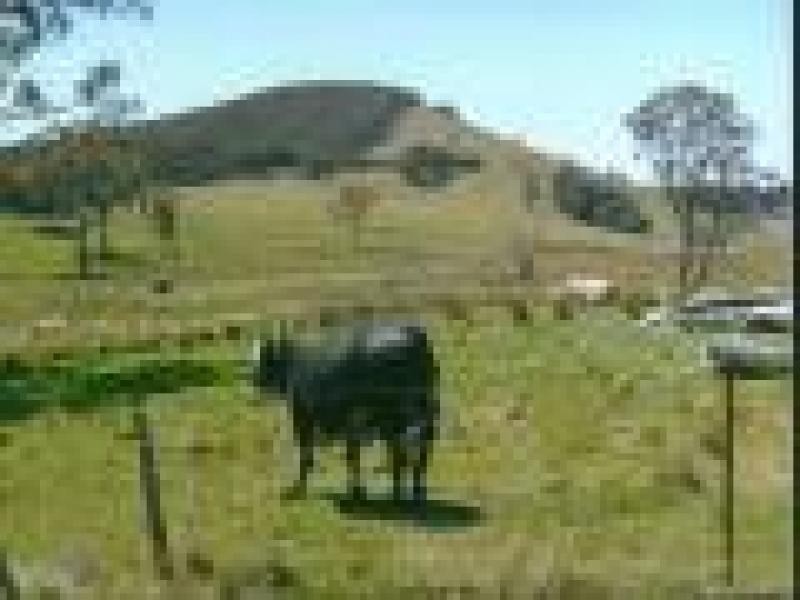 PERKS ROAD, Rye Park NSW 2586