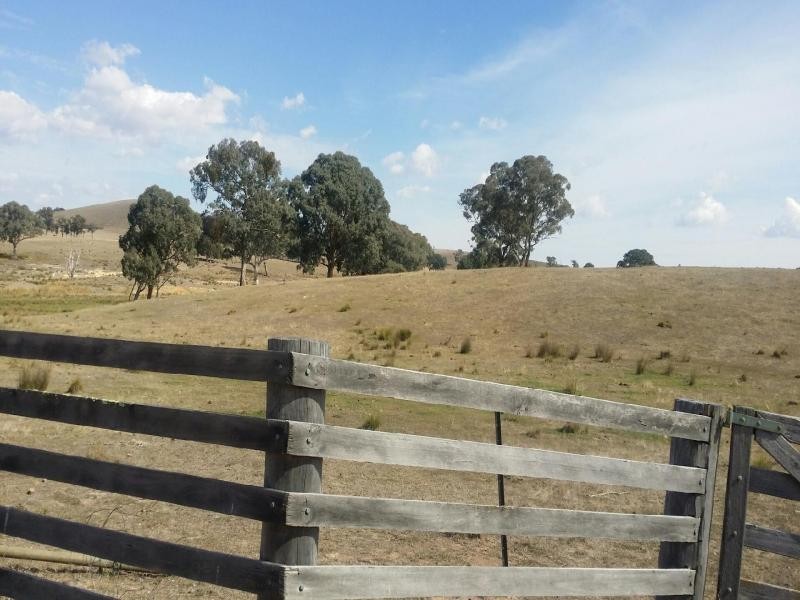 PERKS ROAD, Rye Park NSW 2586