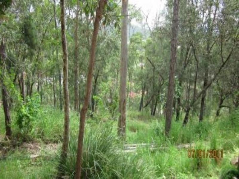 6 Crestridge Crescent, Oxenford QLD 4210