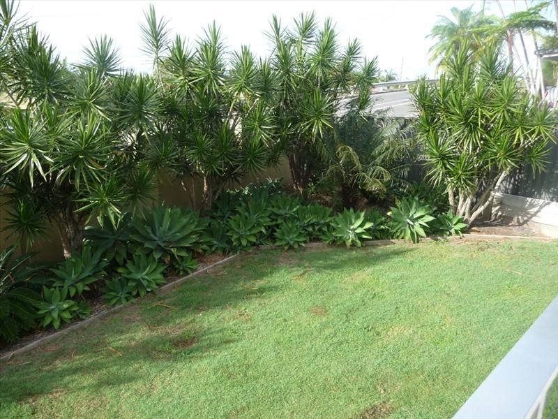 127 Benowa Rd, Southport QLD 4215