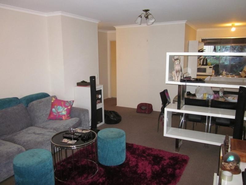 11 Hoya Crt, Labrador QLD 4215